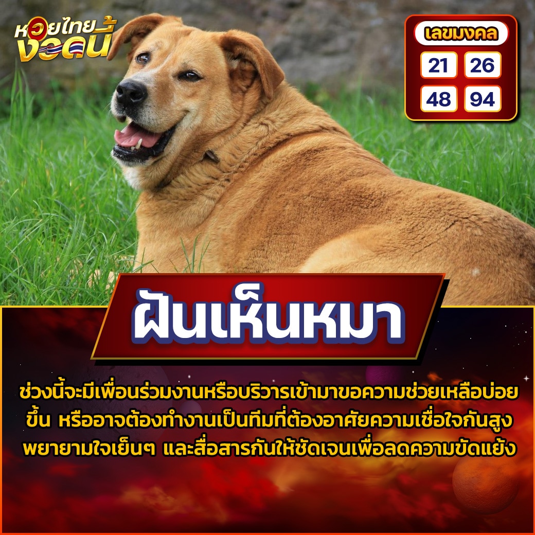 ฝันเห็นหมา