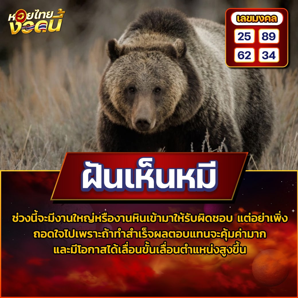 ฝันเห็นหมี