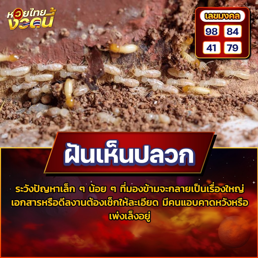 ฝันเห็นปลวก
