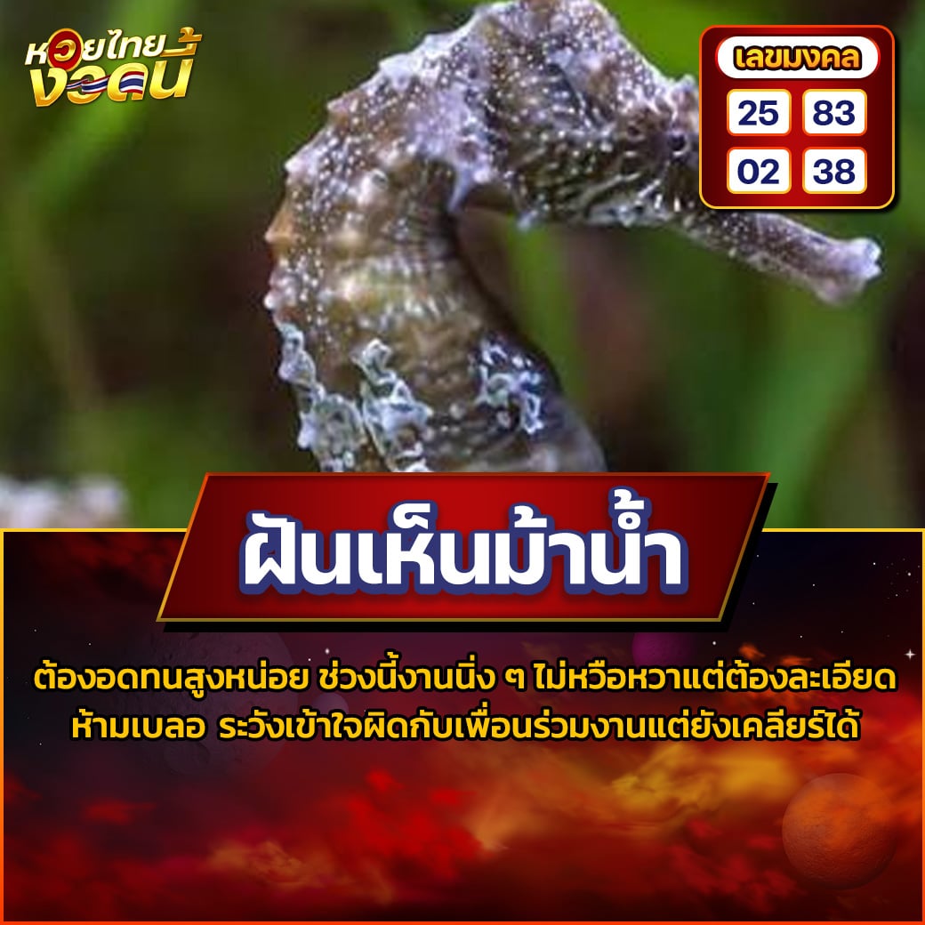 ฝันเห็นม้าน้ำ
