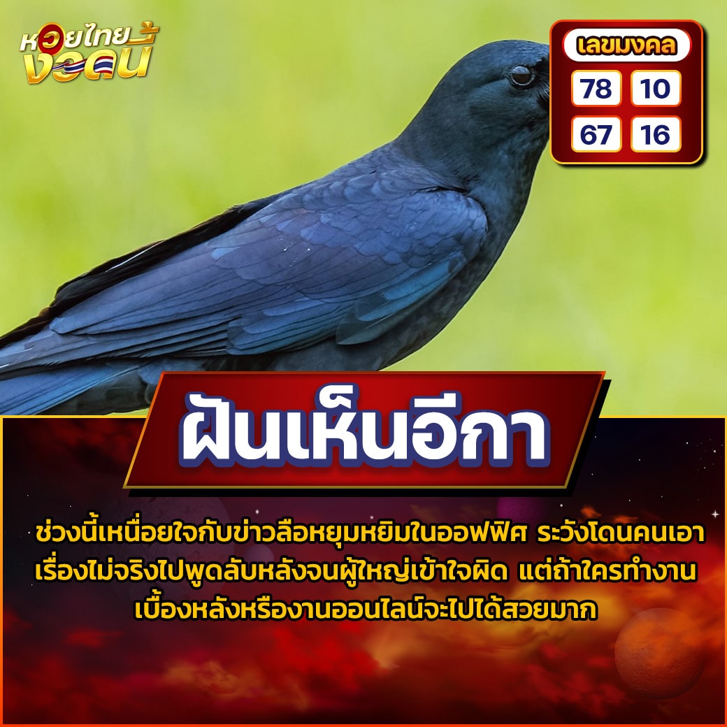 ฝันเห็นอีกา