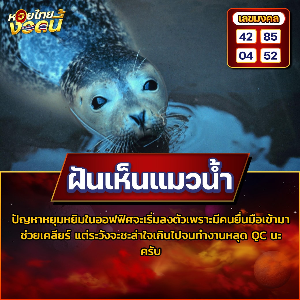 ฝันเห็นแมวน้ำ