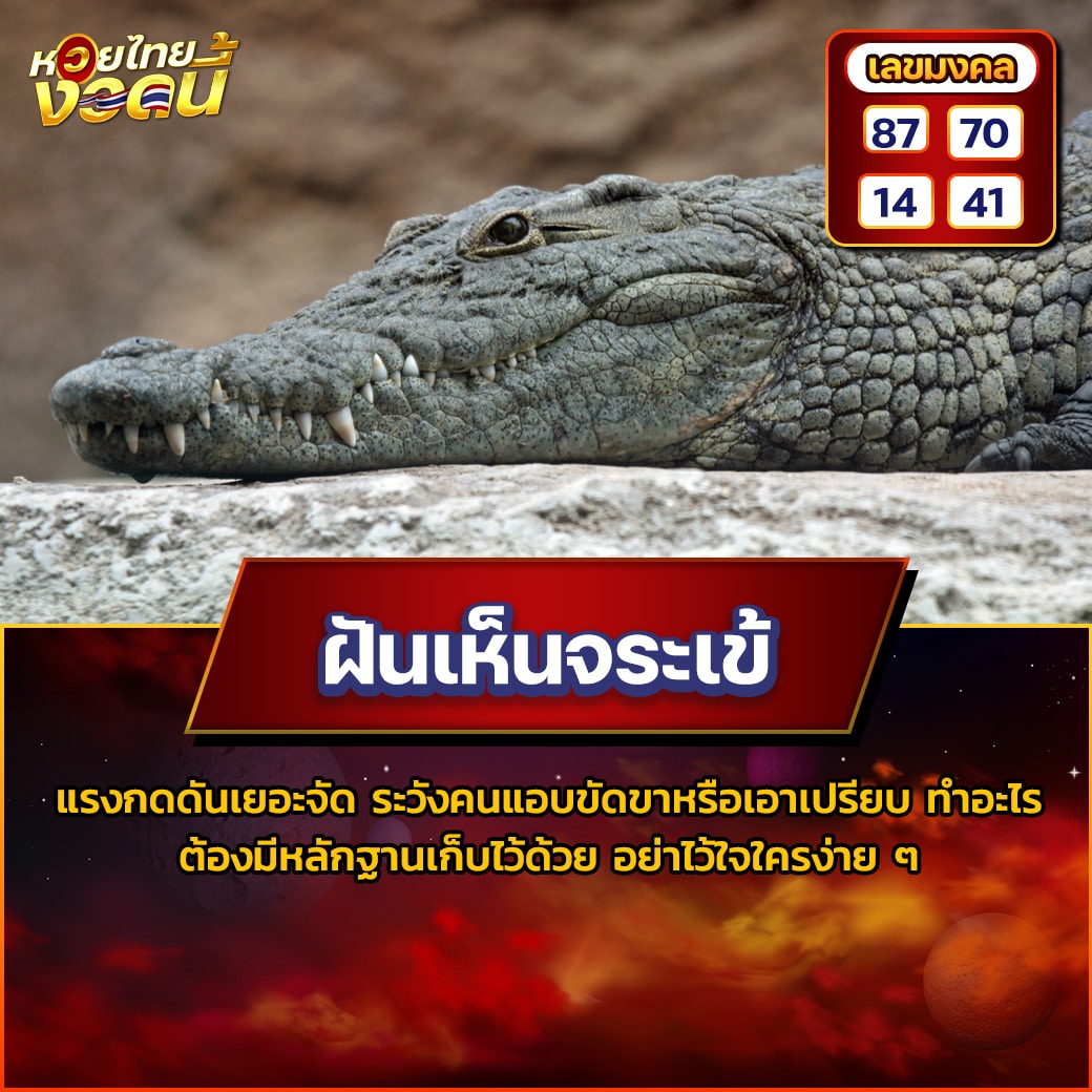 ฝันเห็นจระเข้