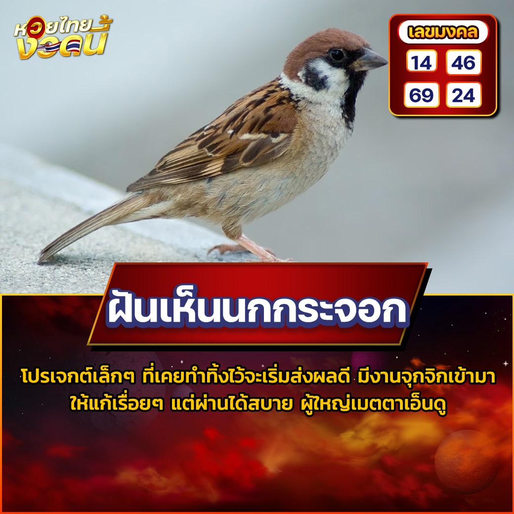 ฝันเห็นนกกระจอก