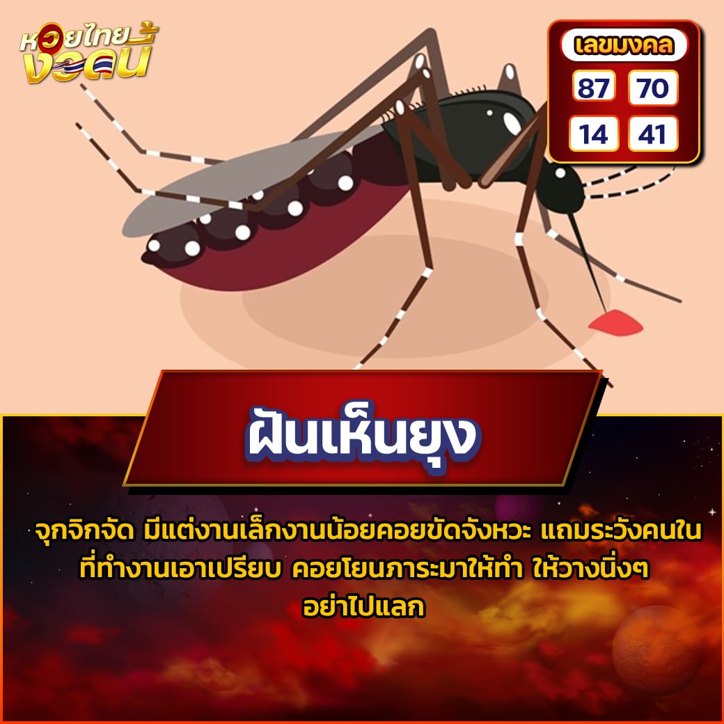 ฝันเห็นยุง