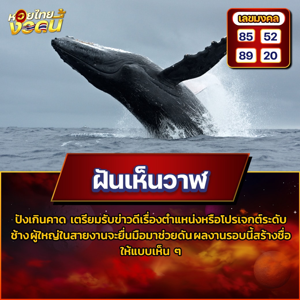 ฝันเห็นวาฬ