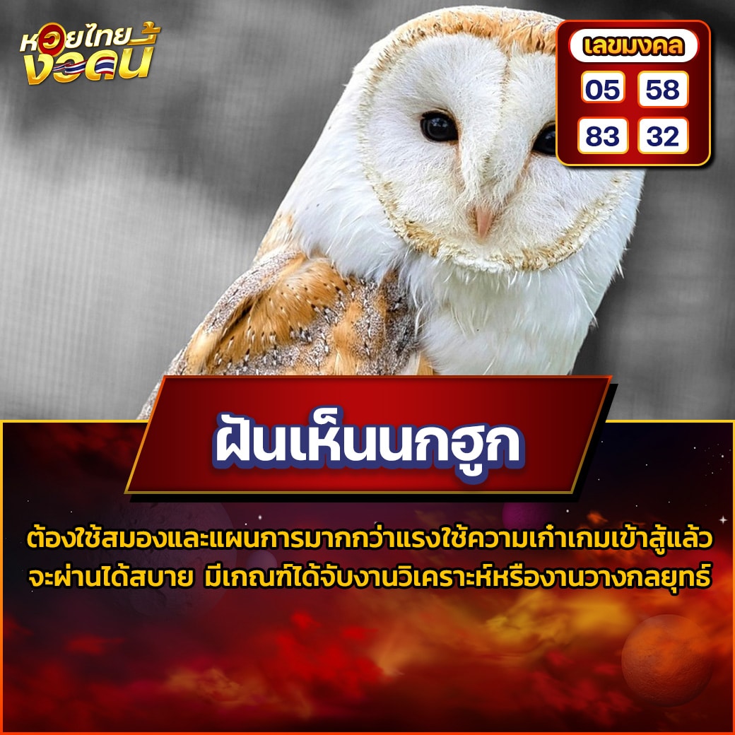 ฝันเห็นนกฮูก